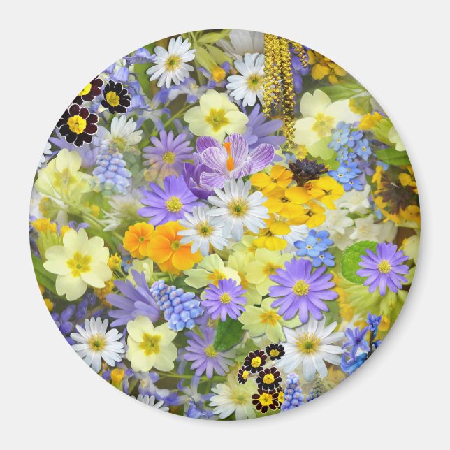 Daisy ,Primrose, Daffodil Flowers Magnet (Front)