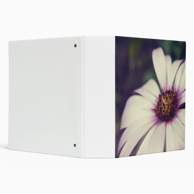 Daisy print. 3 ring binder (Background)