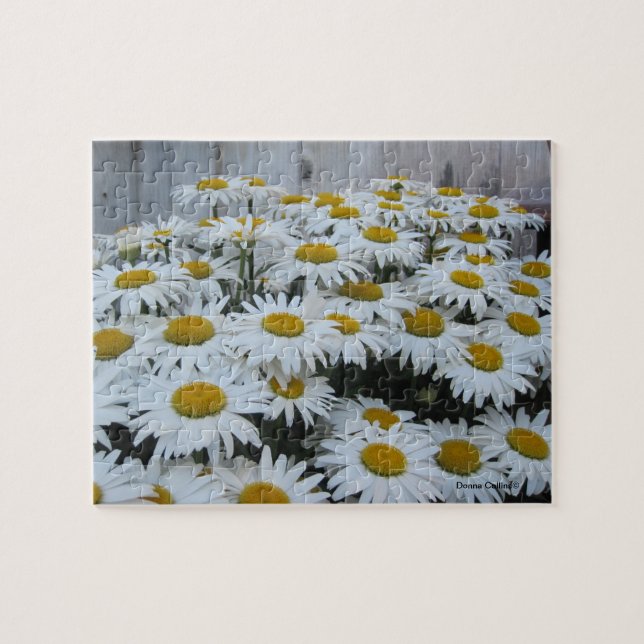 Daisy Puzzle (Horizontal)