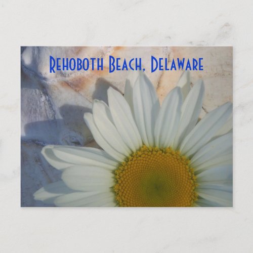 Daisy Rehoboth Beach Postcard