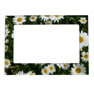 Daisy Ring  Magnetic Frame