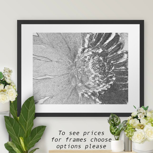 Daisy Shades of Gray Floral  Poster (Creator Uploaded)