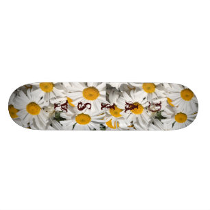Daisy skateboard template deck