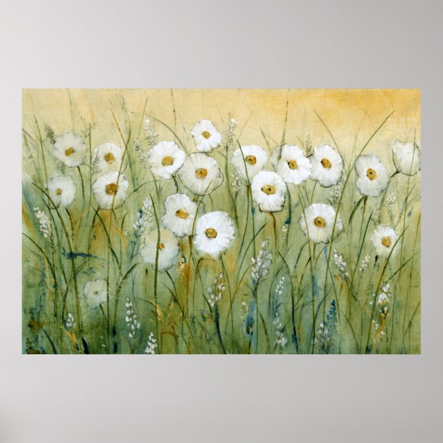 Daisy Spring I Poster (Front)