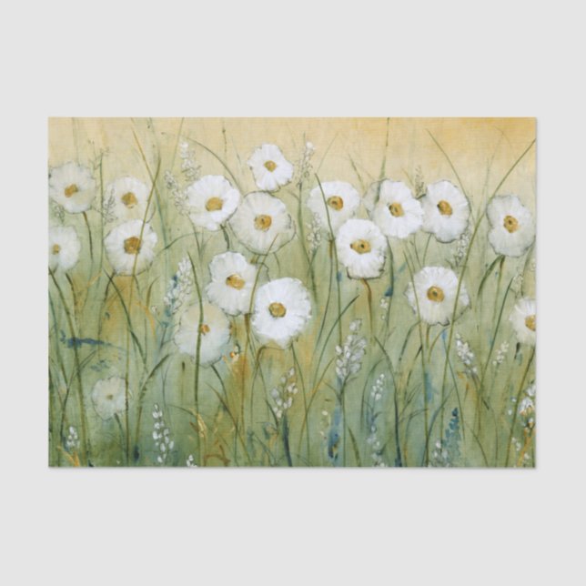 Daisy Spring I Tissue Paper (Front)