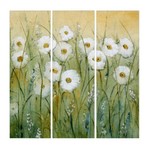 Daisy Spring I Triptych