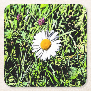 Daisy Square Paper Coaster