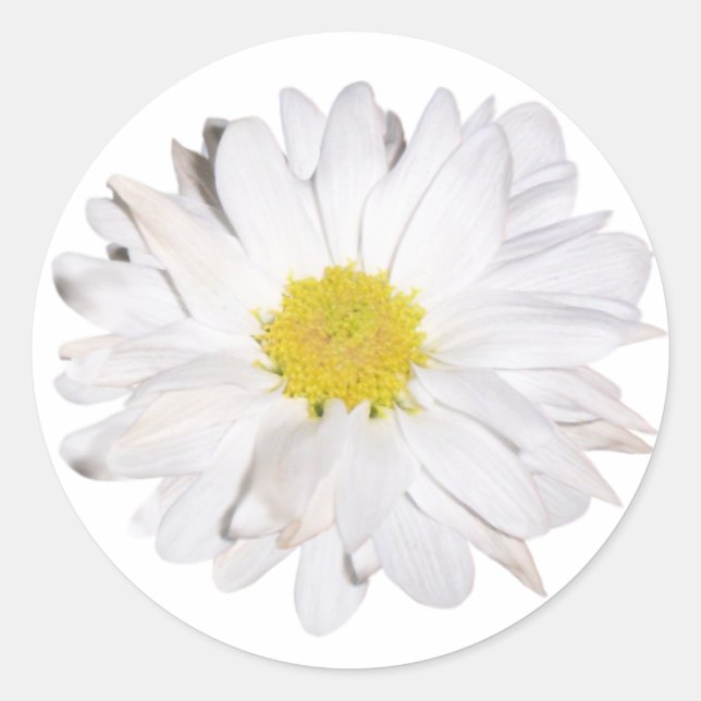 Daisy Sticker (Front)