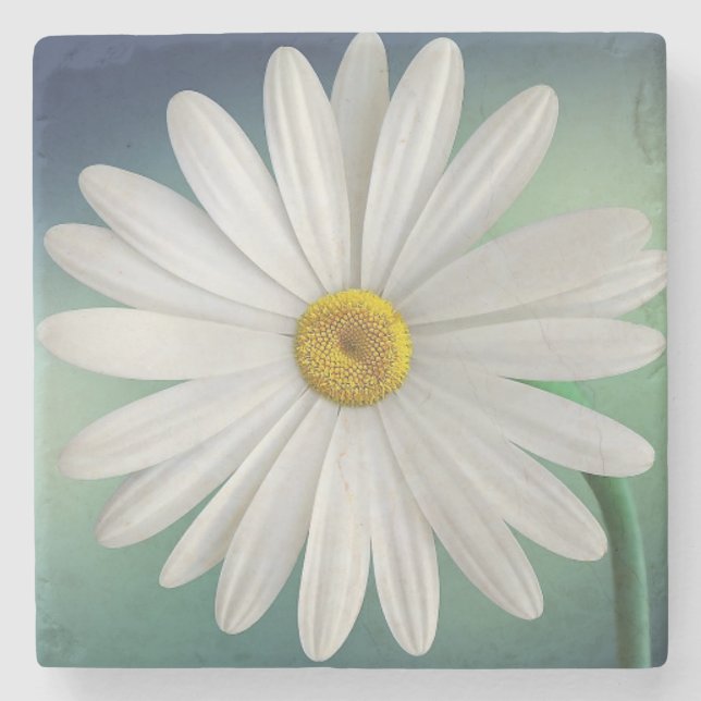 Daisy Stone Coaster (Front)