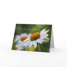 Daisy Sympathy Card