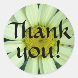 Daisy Thank You Sticker