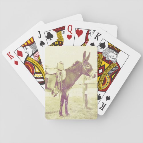 Daisy the saddle donkey poker cards