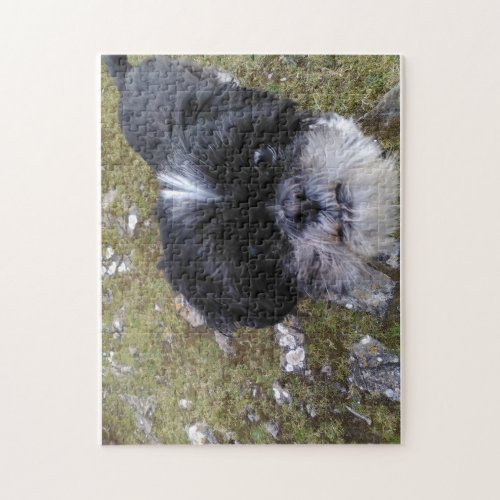 Daisy the shih tzu puzzle for doggy lovers