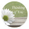 Daisy Theme