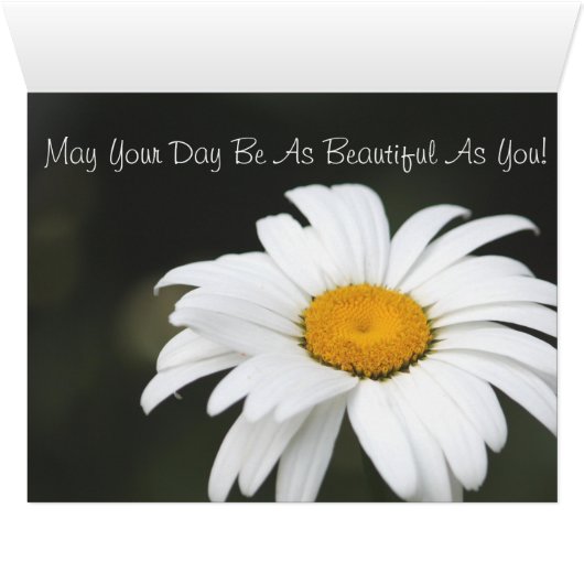 Daisy Thinking Of You Card (Inside Horizontal (Bottom))