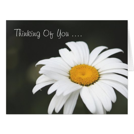 Daisy Thinking Of You Card (Front Horizontal)