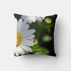 Daisy Water Droplets Pillow