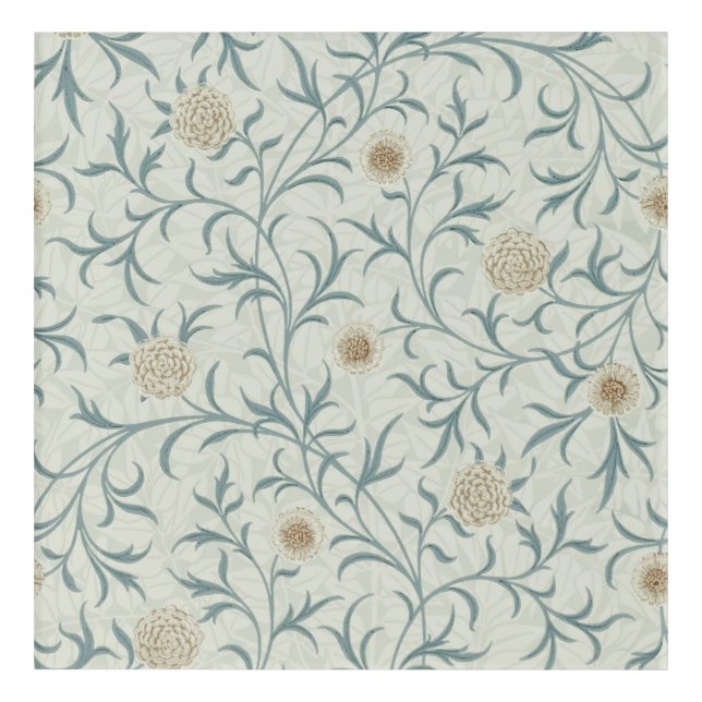 Daisy, William Morris Acrylic Print (Front)