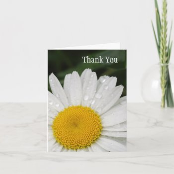 Daisy With Rain Drops All Occasion Notecard by artladymanor at Zazzle