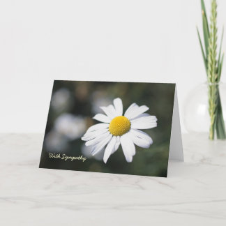 Daisy, With Sympathy Card