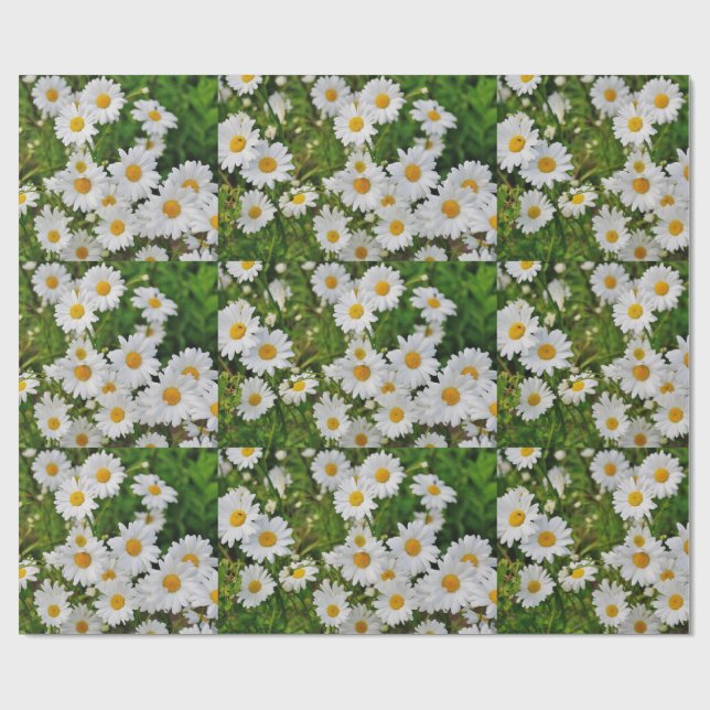 Daisy wrapping paper (Flat)