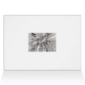 Daisy Zen Card (Inside Horizontal (Top))