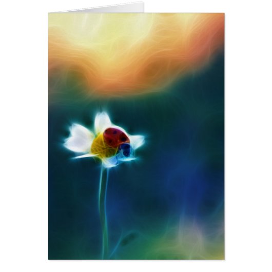 Daisybug Cards (Front)