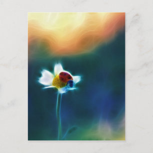 Daisybug Postcard