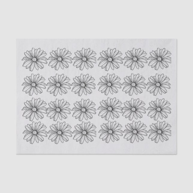 Daisys in gray tissue paper (Front)