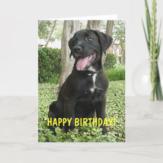 Dakota - Happy Birthday Card