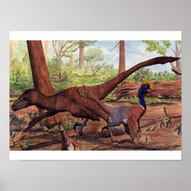 Dakotaraptor Print (Front)