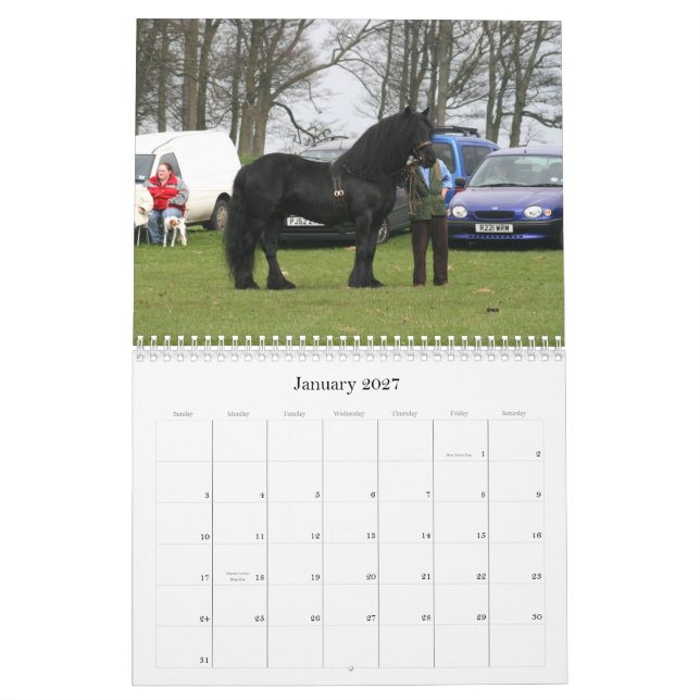 Dales Pony 2010 Calendar (Jan 2027)