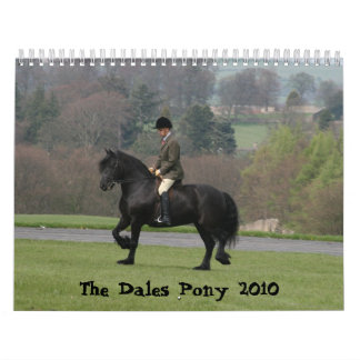 Dales Pony 2010 Calendar