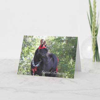 Dales Pony Christmas Card
