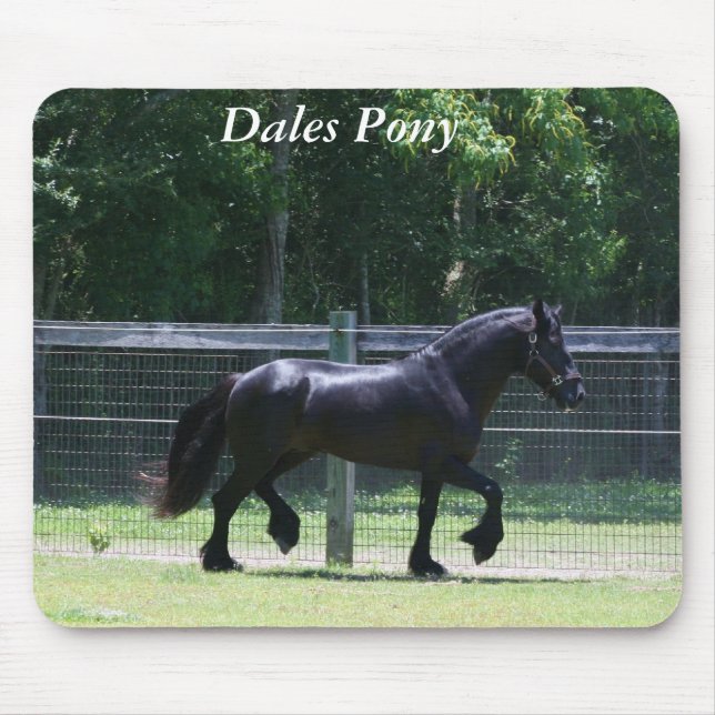 Dales Pony Trot Mouse Pad (Front)