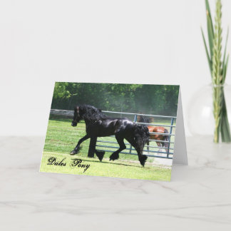Dales Pony trotting card