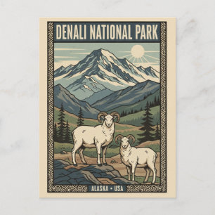 Dall Sheep in Denali National Park Alaska Postcard