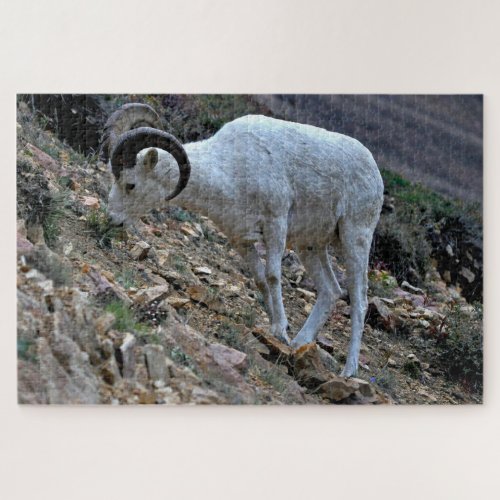 Dall Sheep on a Hillside Jigsaw Puzzle
