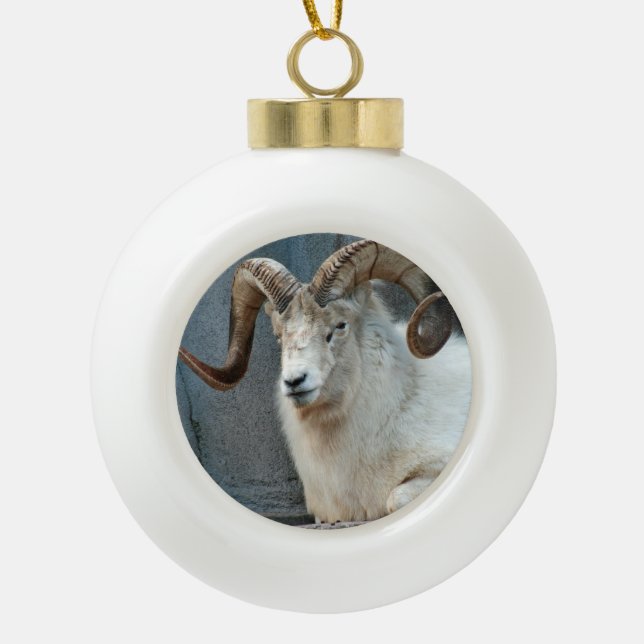 Dall Sheep Ornament (Front)
