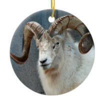 Dall Sheep Ornament