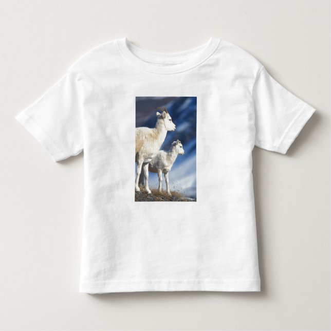 dall sheep, Ovis dalli, ewe and lamb Toddler T-shirt (Front)