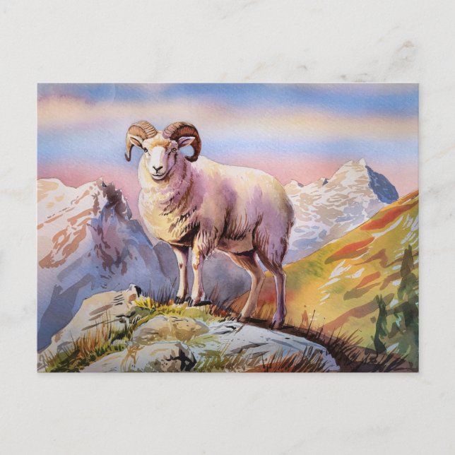 Dall Sheep Ram on a Majestic Mountain Postcard (Front)
