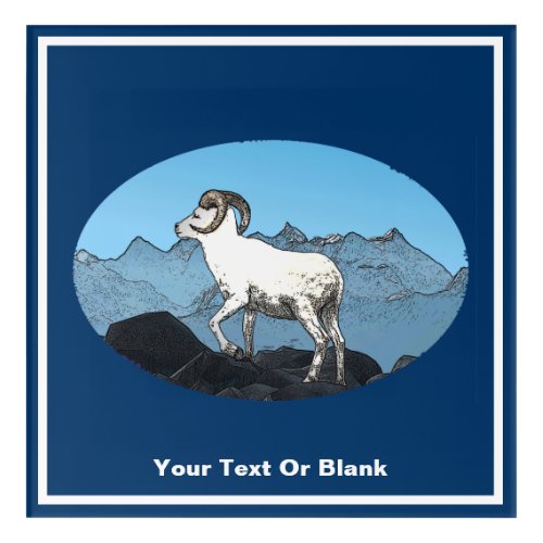 Dalls Sheep Acrylic Print