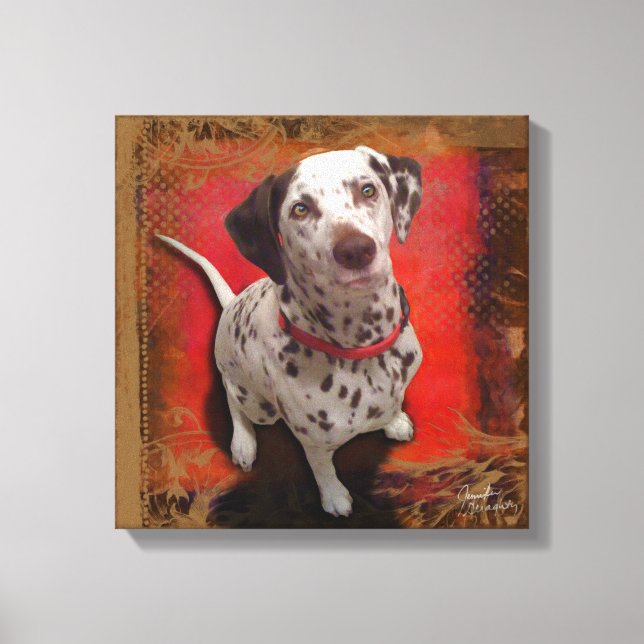 Dalmatian 14x14 Stretched Canvas (Front)