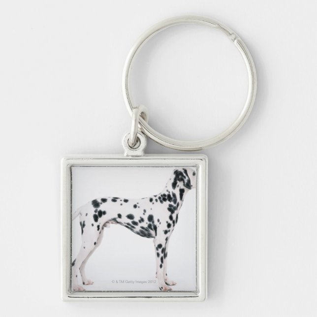 Dalmatian 3 keychain (Front)