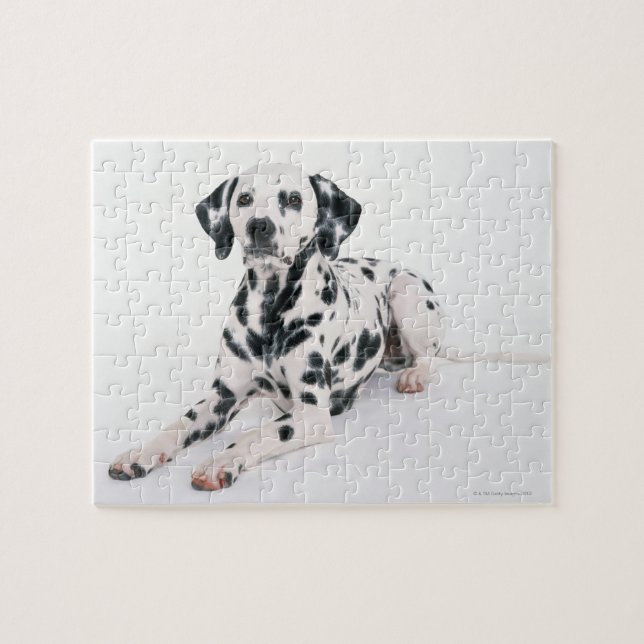 Dalmatian 4 jigsaw puzzle (Horizontal)