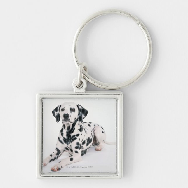 Dalmatian 4 keychain (Front)