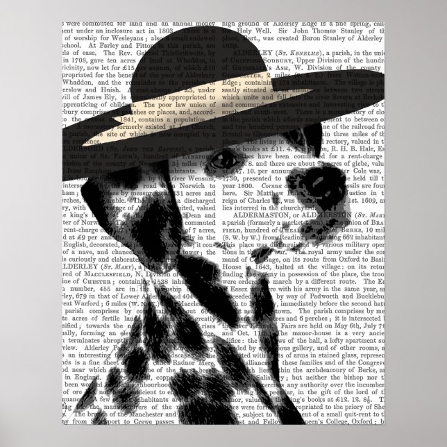 Dalmatian and Brimmed Black Hat Poster (Front)