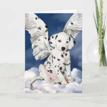 Dalmatian Angel Puppy