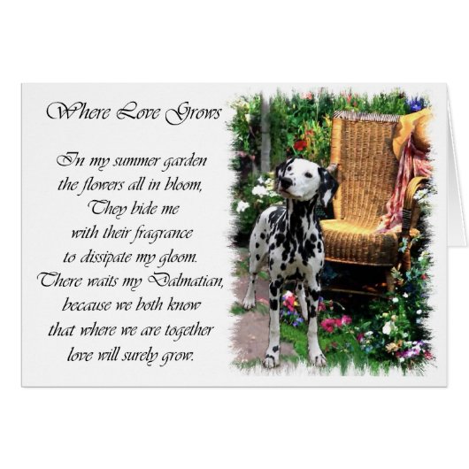 Dalmatian Art Gifts Cards (Front Horizontal)